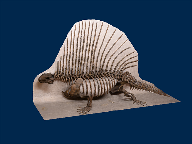Edaphosauridae